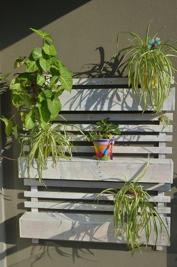 Monoambiente La Pitota Daire Paraná Dış mekan fotoğraf